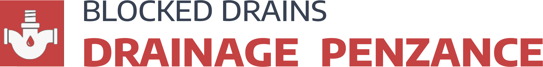 website logo